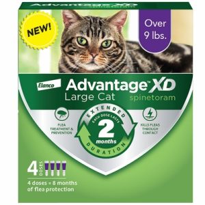 Advantage XD for Large Cats (Over 9 Pounds), 2 Month Flea Protection, 4 Pack