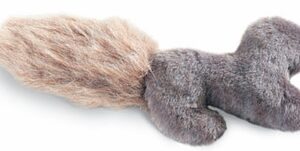 Premier Wild Squirrel